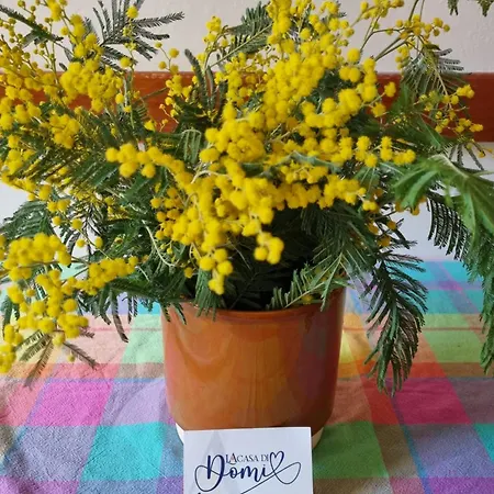 La Casa Di Domi Apartment *