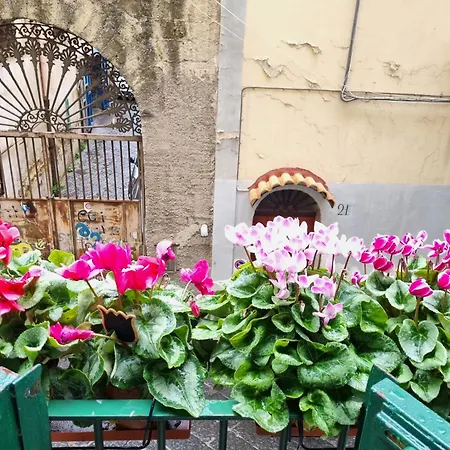 Apartment La Casa Di Domi